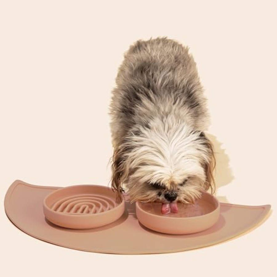 Tigelas para Cães com Alimenta - Silicone Suction Bowl avaliação e preço